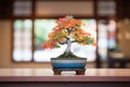 bonsai in traditional japanese ceramic pot with kanji