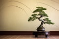 bonsai tree, backdrop for tai chi practice Royalty Free Stock Photo