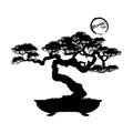 Vector of Bonsai tree on background.