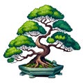 bonsai tree colourful vector illustration on white background. Cartoon Style Bonsai Tree