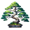 bonsai tree colourful vector illustration on white background. Cartoon Style Bonsai Tree