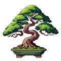 bonsai tree colourful vector illustration on white background. Cartoon Style Bonsai Tree