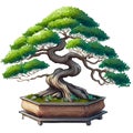 bonsai tree colourful vector illustration on white background. Cartoon Style Bonsai Tree