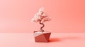 Elegant minimalist bonsai tree in modern geometric planter against soft coral background Royalty Free Stock Photo