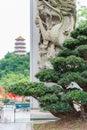 Bonsai tree in flower pot with an oriental background