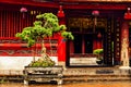 Bonsai tree in front of a red wooden buddist temple. Temple of literature. Hanoi, Vietnam - 04/02/2020 Royalty Free Stock Photo