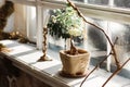 Bonsai tree in handmade sackcloth pot and candlestick on the window sill. Rustic diy decor