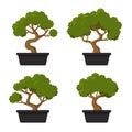 Bonsai Tree Icon Set