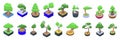 Bonsai tree icons set isometric vector. Japan leaf plant Royalty Free Stock Photo