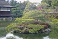 a bonsai tree in a park in japan Royalty Free Stock Photo