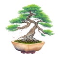 Bonsai tree photorealistic watercolor,generative ai