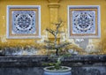 Bonsai Tree Porcelain Vase Yellow Wall Asian Ornament Decor Hue Vietnam