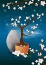 Bonsai tree in a pot Sakura watch the leaves and flowers near the vase Royalty Free Stock Photo