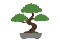 Clip art bonsai tree Royalty Free Stock Photo