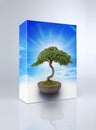 Bonsai Tree Product Box