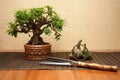 bonsai tree and pruning shears on a bamboo mat Royalty Free Stock Photo