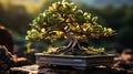 A bonsai tree in a rectangular pot. Generative AI Royalty Free Stock Photo