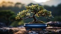 A bonsai tree in a rectangular pot. Generative AI. Royalty Free Stock Photo