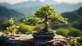 A bonsai tree in a rectangular pot. Generative AI Royalty Free Stock Photo
