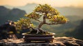A bonsai tree in a rectangular pot. Generative AI. Royalty Free Stock Photo
