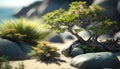 a bonsai tree in a rock garden on a beach with rocks and flowers in the foreground and water in the background, with rocks and Royalty Free Stock Photo