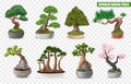 Bonsai Tree Set