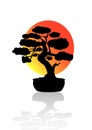 Bonsai Tree Silhouette. Black logo, icon of a tree in a pot on a background of the sun. Bonsai silhouette vector Royalty Free Stock Photo