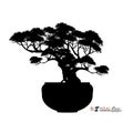 Bonsai tree, silhouette of bonsai, Detailed image, Vector illustration,