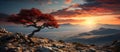 Bonsai tree on the top of a mountain at sunset Royalty Free Stock Photo