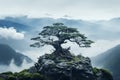 a bonsai tree on top of a mountain surrounded by clouds Royalty Free Stock Photo