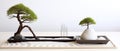 Bonsai Tree and Two White Balls on Tray, Nature and Simplicity Unite