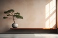 Bonsai Tree in Vase with Shadow and Light Play. Royalty Free Stock Photo