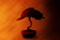 Bonsai Tree Wisdom Background Royalty Free Stock Photo