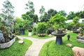 Bonsai trees Royalty Free Stock Photo