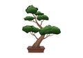 bonsai trees grown in containers Royalty Free Stock Photo