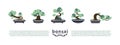 Bonsai trees and bonsai pots set. Vector Flat Icons with Bonsai Styles.