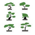 Bonsai trees set japanese style isolated