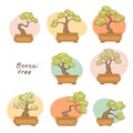 Bonsai trees