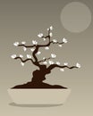 Bonsai - vector design