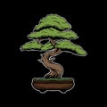 Bonsai vector illustration. japanese bonsai tree