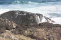 Bonville headland wave washing over rock Royalty Free Stock Photo