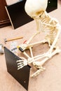 Bony skeleton assembling a black wooden shelf Royalty Free Stock Photo