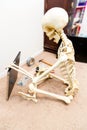 Bony skeleton assembling a black wooden shelf Royalty Free Stock Photo