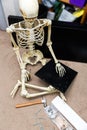 Bony skeleton assembling a black wooden shelf Royalty Free Stock Photo