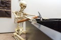 Bony skeleton assembling a black wooden shelf Royalty Free Stock Photo