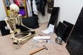 Bony skeleton assembling a black wooden shelf Royalty Free Stock Photo