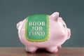 Boob job fund piggy bank