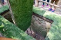 A booby trap with bamboo spikes at Cu Chi Tunnels