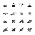 Spice, condiment and herb icons set. Royalty Free Stock Photo