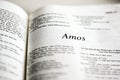 Book of Amos